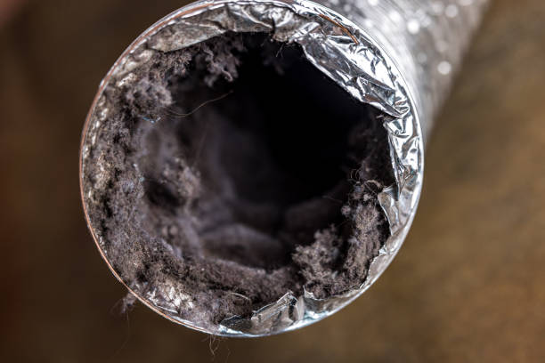 Best HVAC Duct Inspection Services  in Pasadena, TX